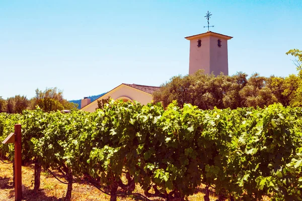 Californische wijngaard landschap in Napa Valle — Stockfoto