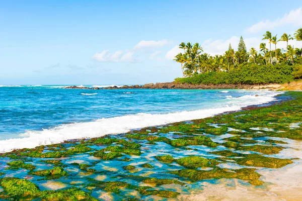 Playa tropical — Foto de Stock