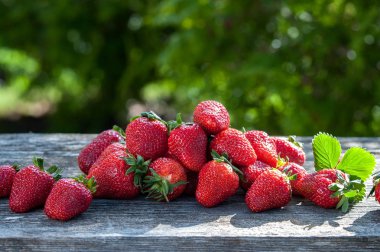 Sulu çilek Çilek güneşin bir tahta üzerinde dağılmış