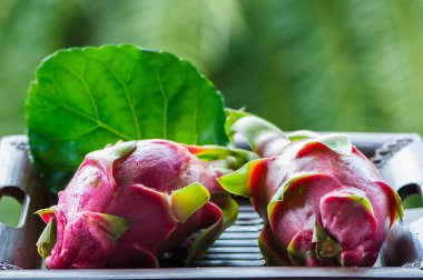 Dragon meyve makro, bütün ve kıyılmış. Natürmort. Egzotik meyveler