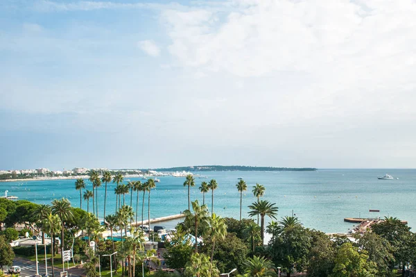 Vista al mar y palmeras, vista superior. Niza, Cannes, Monte Ca — Foto de Stock