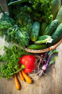 Taze sebze. Kabak, salatalık, havuç, soğan, dereotu, 
