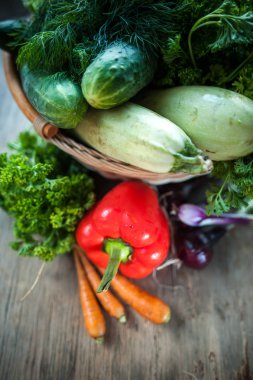 Taze sebze. Kabak, salatalık, havuç, soğan, dereotu, 