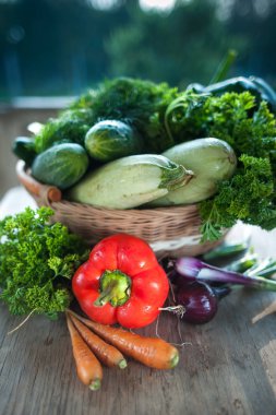 Taze sebze. Kabak, salatalık, havuç, soğan, dereotu, 