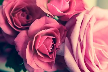 Desen gül, şık, fotoğraf tonda. Arka plan, tebrik araba