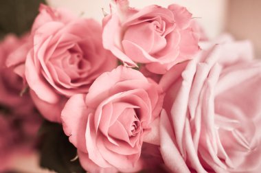 Desen gül, şık, fotoğraf tonda. Arka plan, tebrik araba