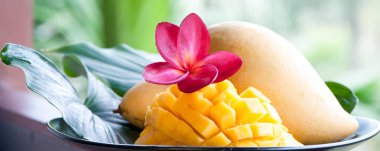 Mango güzel tropikal arka plan üzerinde doğal koşullarda. 