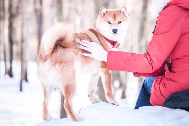 Kızı kucağında köpek embosom. Arasındaki dostluk kavramı