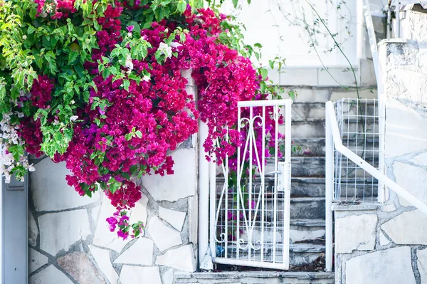 Bilhete bonito em uma casa cercada por flores. O conceito de — Fotografia de Stock