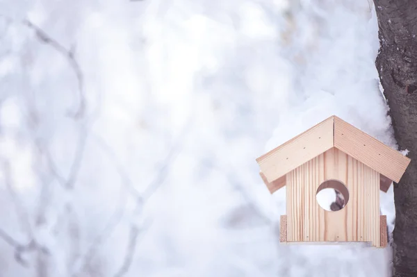 Sfondo invernale. Una casetta per uccelli su un albero e uno sfondo sfocato — Foto Stock