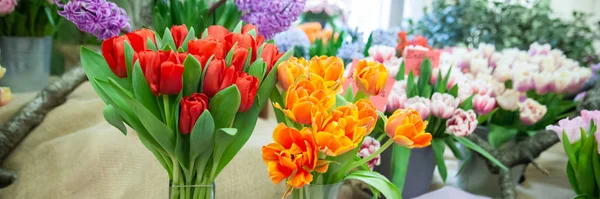 Banner de flores de tulipán fresco primavera colorido. Lote de multicolor —  Fotos de Stock