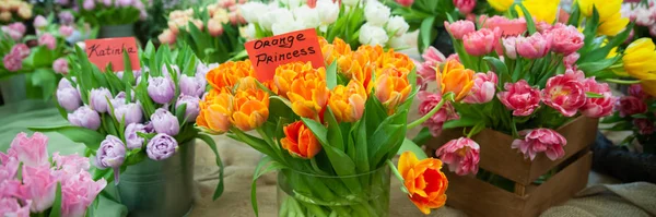 Espectáculo Floral Elegante Ramo Tulipanes Naranjas Variedad Princesa Naranja Katinka —  Fotos de Stock