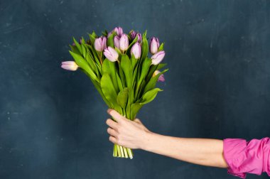 El ele tutuşan pembe lale çiçekleri monokrom mavisi, modaya uygun eski püskü arka planda. Yaz, bahar teması. 