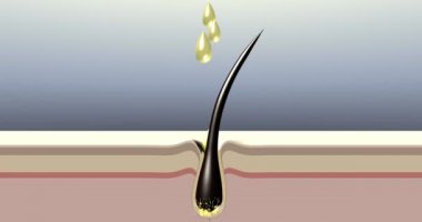 Hair growth. Stimulation of hair follicles. Commercial of hair care products.