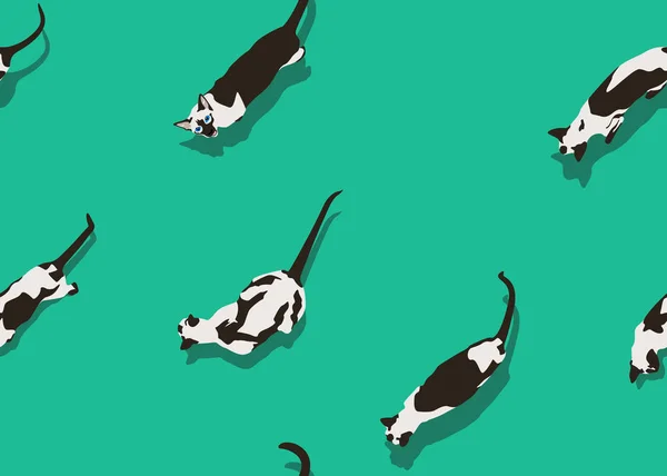 Patrón siamés gato izquierda verde — Vector de stock
