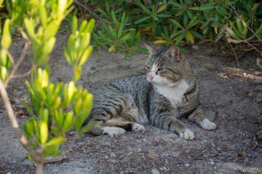 New York City Amerika Birleşik Devletleri