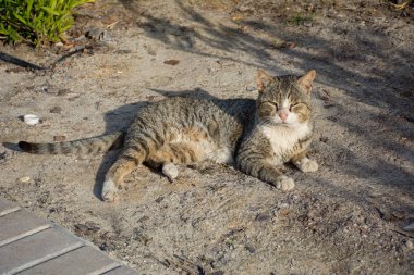 New York City Amerika Birleşik Devletleri