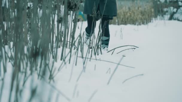Passeio de neve na floresta no inverno 4K Vídeos De Bancos De Imagens Sem Royalties