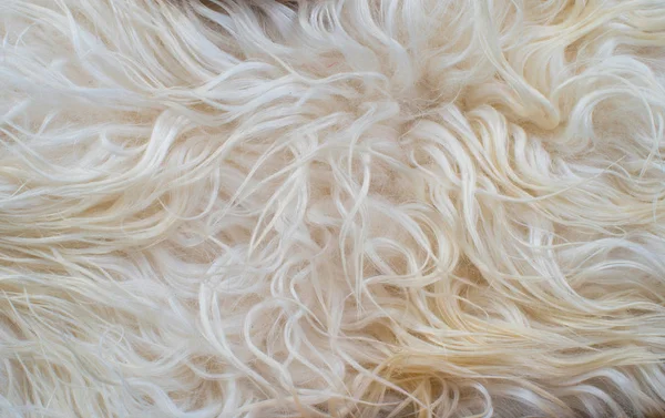 White fur texture — Stock Photo, Image