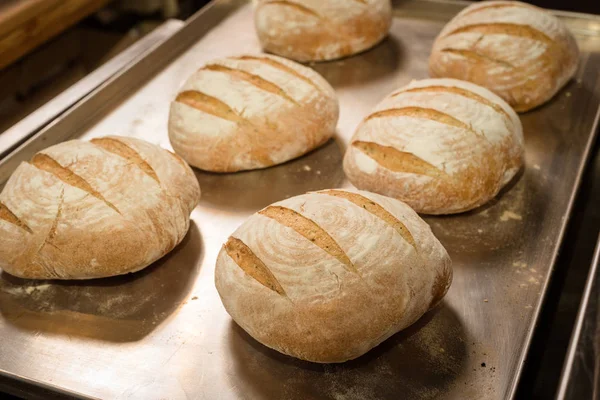 Round bread on the tray — Stock Photo, Image