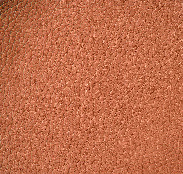 Leder texture, close-up — Stockfoto