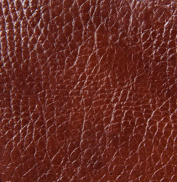 Texture du cuir, gros plan — Photo