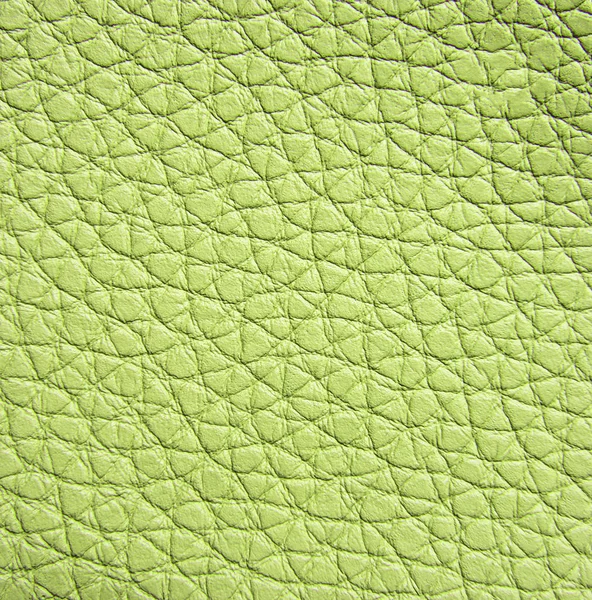 Leder texture, close-up — Stockfoto