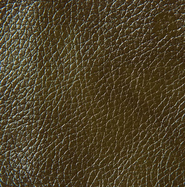 Leder texture, close-up — Stockfoto
