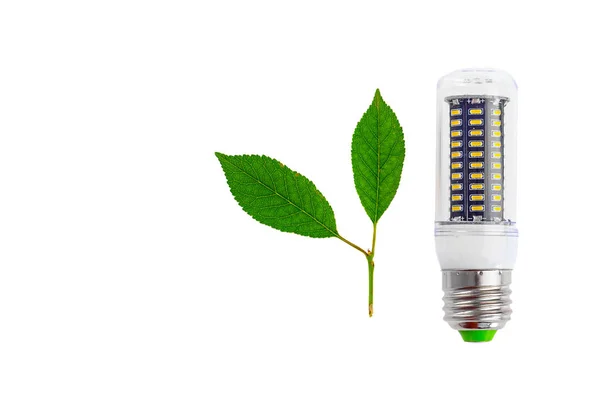 Eco lampada e foglie . — Foto Stock