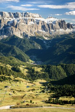 Dolomites alp yayla sığır
