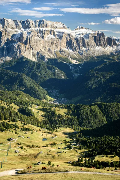 Highland boskap i Dolomiterna alp — Stockfoto