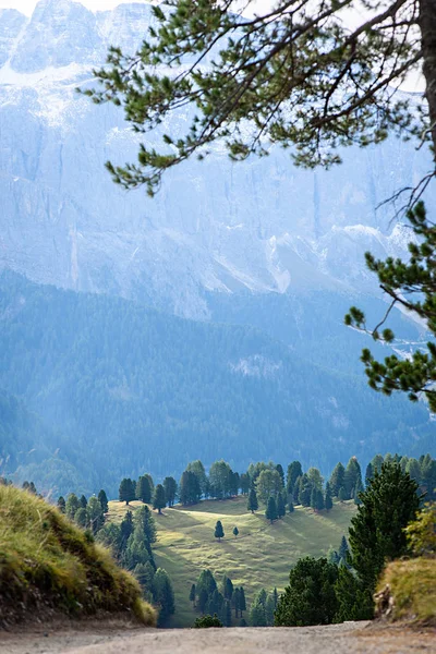 Dolina w Alpy Dolomity — Zdjęcie stockowe