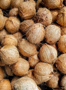 Hindistan cevizi avuç