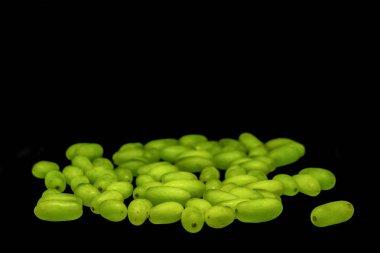 Yeşil üzüm dalları ve yaprakları siyah izole olmadan. Kırpma yoluyla. Tam alan derinliği.