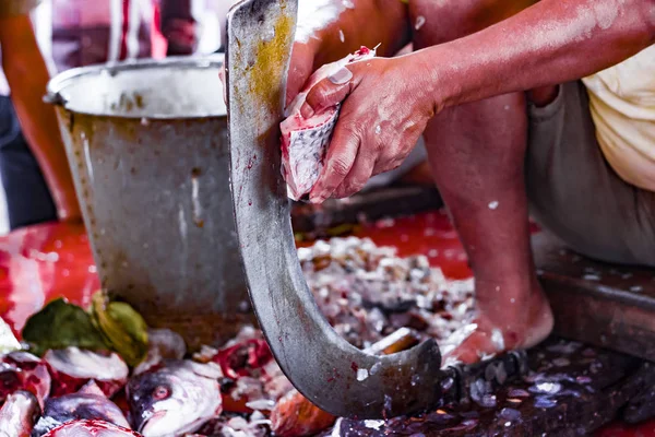 fisherman cutting and scaling fish on a standing blade boti in indian fish market at kolkata