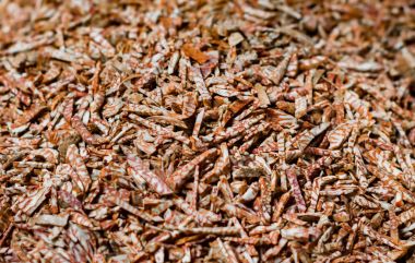 Süper market Satılık düzgün kesilmiş kesmek tembul fındık supari