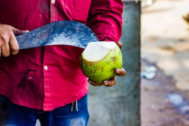 Cocon çekmek için satıcı bir ham hindistan cevizi kabuğu Orak ile kesme