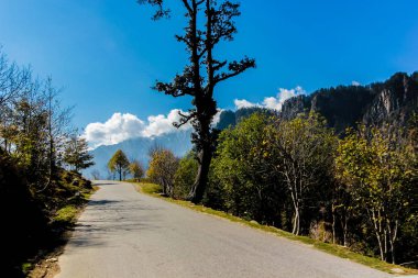 tepeler ve ağaçlar arasında yol, Himachal Turizm