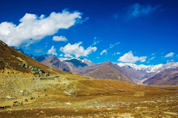 Manali, Himachal, Hindistan 'da Himalayalar görünümü. mavi gökyüzü yeşil mera. — Stok fotoğraf