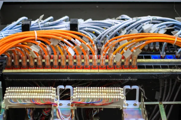 Local area network circuit box with multiple LAN RJ-45 cable relay connectors with selective focus on cables.