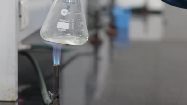 Aquecer um líquido incolor num frasco cónico numa chama de queimador azul num laboratório químico — Vídeo de Stock