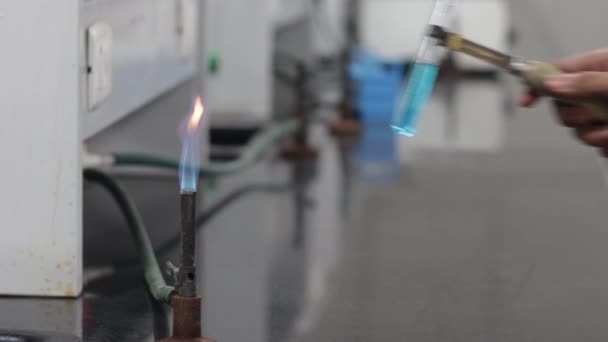 Verwarming van een blauwe chemische stof in een reageerbuis op een blauwe vlam van een brander — Stockvideo