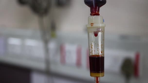 Plan rapproché de goutte à goutte de sang dans un ensemble de transfusion pendant la transfusion sanguine — Video