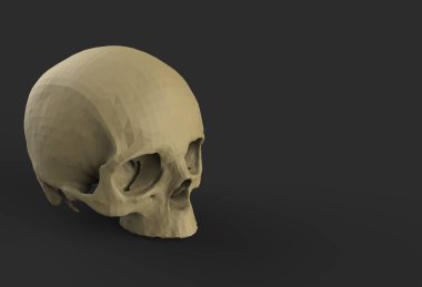 Siyah arka planda insan kafatasının düşük çokgen modelini 3D görüntüle