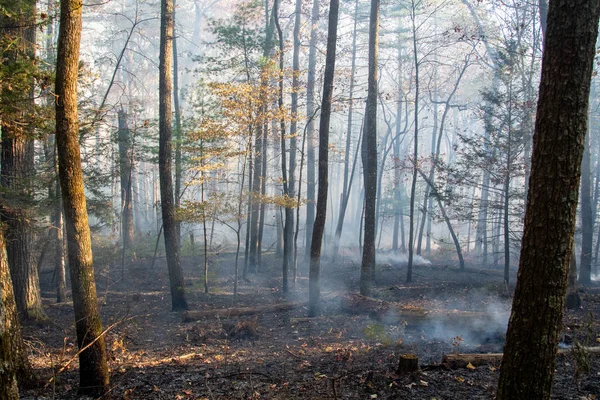 Humo después del incendio forestal — Foto de Stock