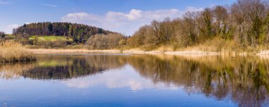Teich panorama im Fr��hjahr