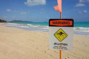 güzel waimanalo plaj oahu güneşli bir günde uyarı denizanası tehlike işareti ile hawaii sahne