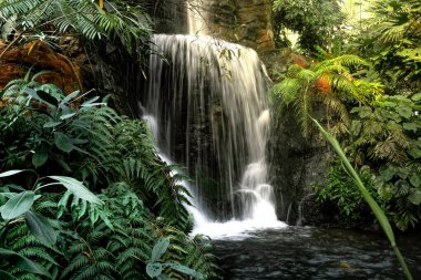 İç şelale doğal dekorasyon.