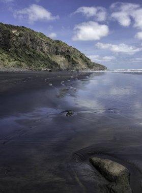 Muriwai Gannet Yeni Zelanda gün cazibe