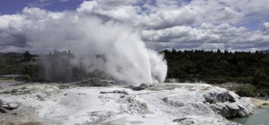 te puia Yeni Zelanda şofben rotorua